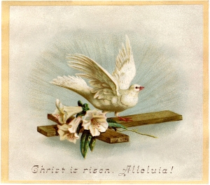 Easter-Dove-Image-Download-GraphicsFairy